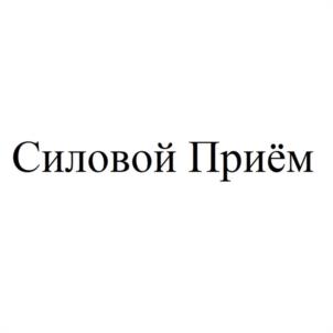 Силовой Приём