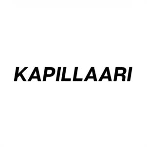 KAPILLAARI