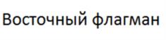 Восточный флагман