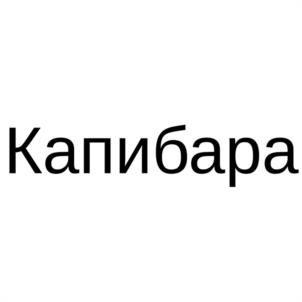 Капибара