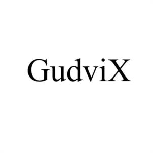 GudviX