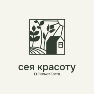 сея красоту ElFlowerFarm