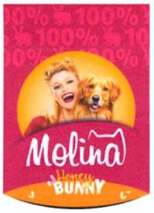 Molina Honey Bunny