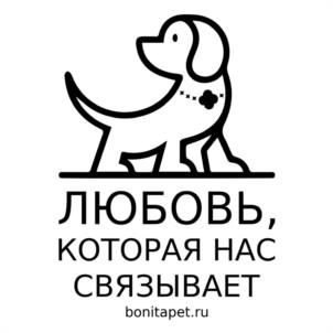 ЛЮБОВЬ, КОТОРАЯ НАС СВЯЗЫВАЕТ bonitapet.ru