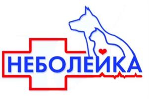 НЕБОЛЕЙКА