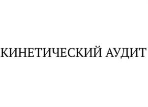 КИНЕТИЧЕСКИЙ АУДИТ