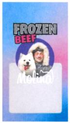 FROZEN BEEF Molino