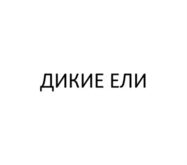 ДИКИЕ ЕЛИ