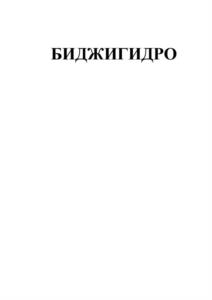 БИДЖИГИДРО