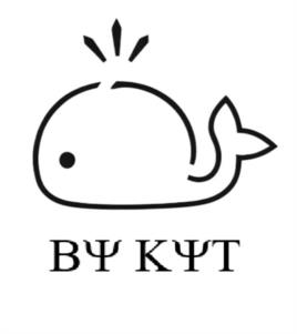 ВЫ КЫТ