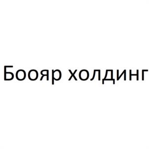 Боояр холдинг
