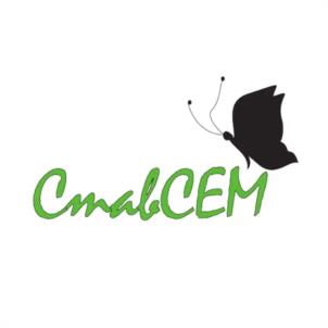 СталСЕМ