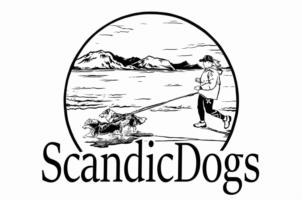 ScandicDogs
