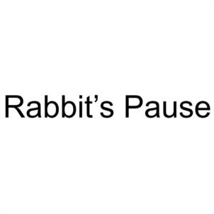 Rabbit's Pause