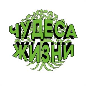 ЧУДЕСА ЖИЗНИ