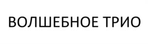 ВОЛШЕБНОЕ ТРИО
