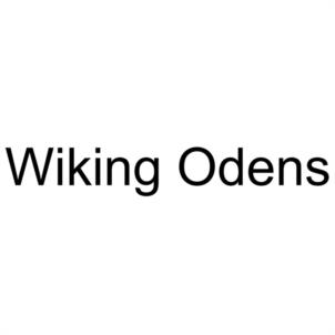 Wiking Odens
