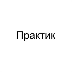 Практик