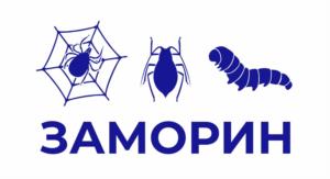 ЗАМОРИН