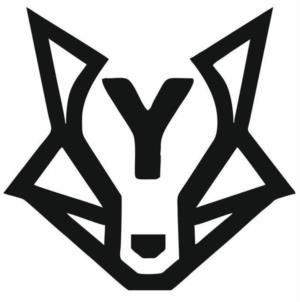 Y
