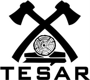 TESAR