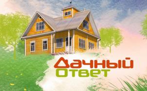 Дачный ответ