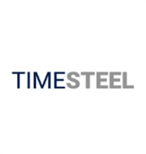 TIMESTEEL