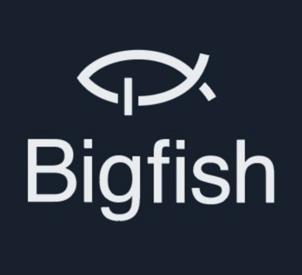 Bigfish