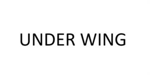 UNDER WING