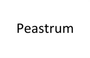 Peastrum