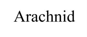 Arachnid