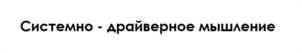 Системно - драйверное мышление