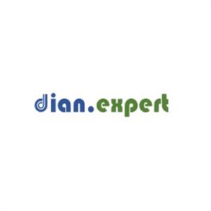 dian.expert