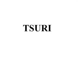 TSURI