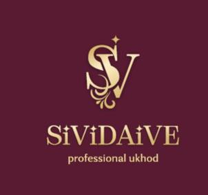 SiViDAiVE professional ukhod
