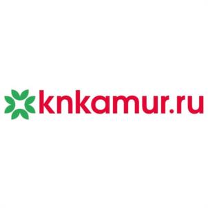 knkamur.ru