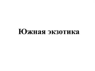 Южная экзотика