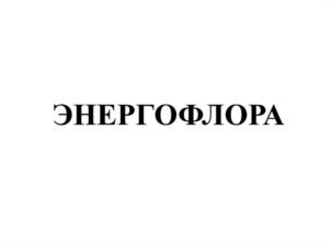 ЭНЕРГОФЛОРА