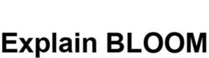 Explain BLOOM