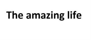 The amazing life