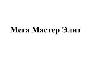 Мега Мастер Элит