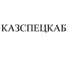 КАЗСПЕЦКАБ