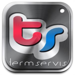 termservis