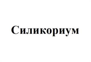 Силикориум
