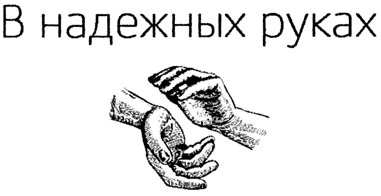 В надежных руках