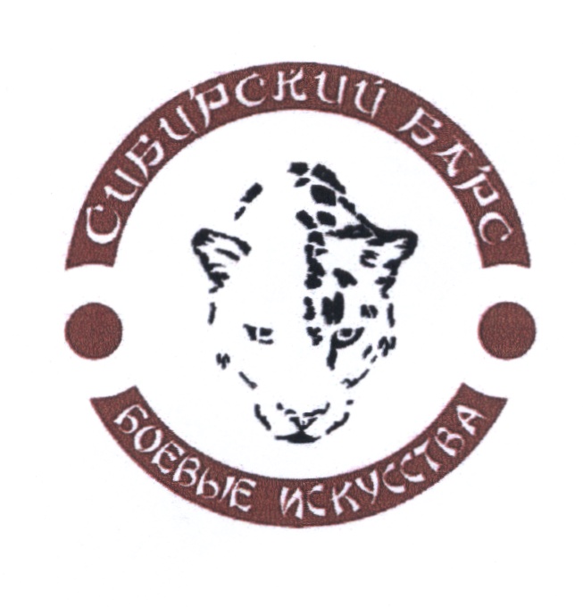 СИБИРСКИЙ БАРС БОЕВЫЕ ИСКУССТВА