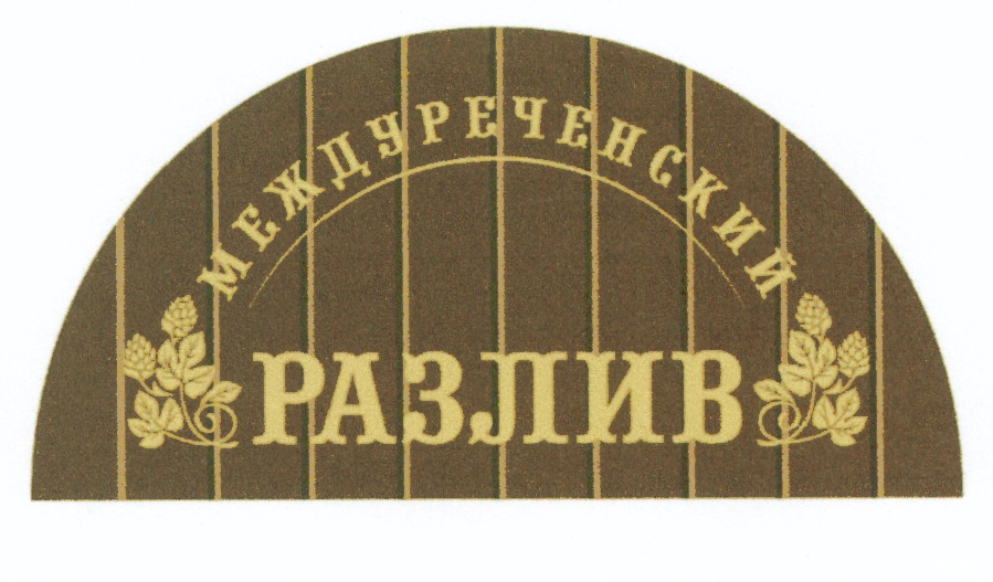 МЕЖДУРЕЧЕНСКИЙ РАЗЛИВ