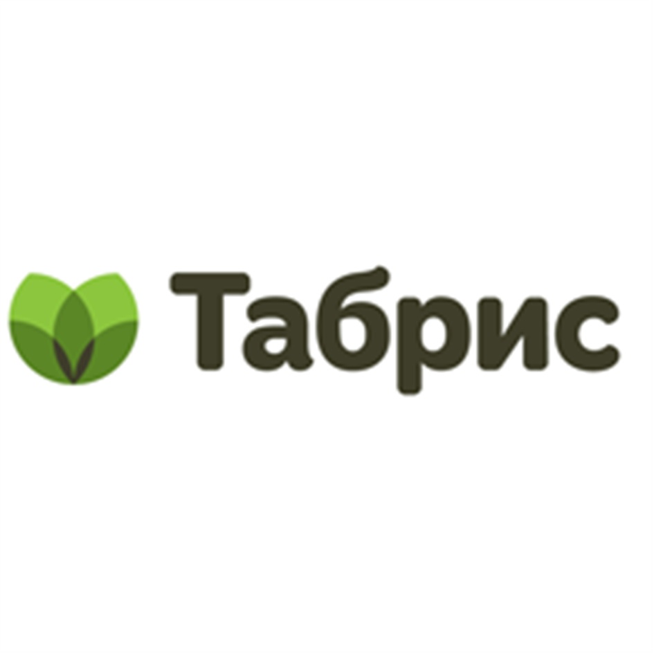 Табрис