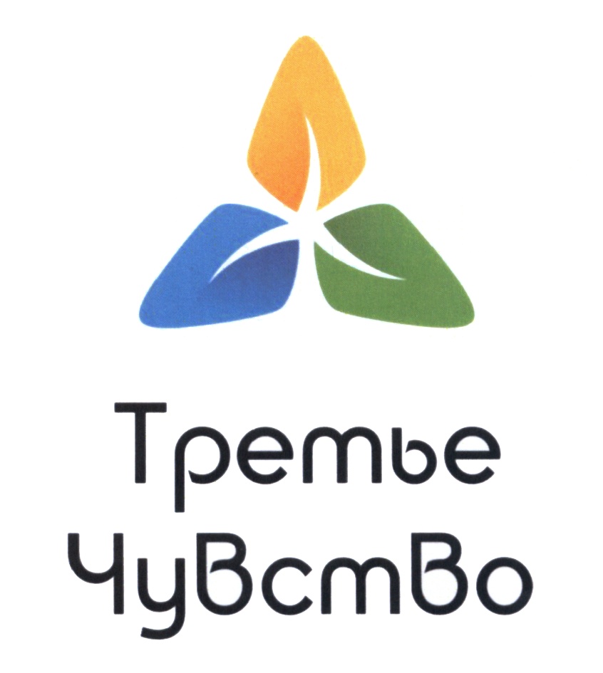 Третье Чувство