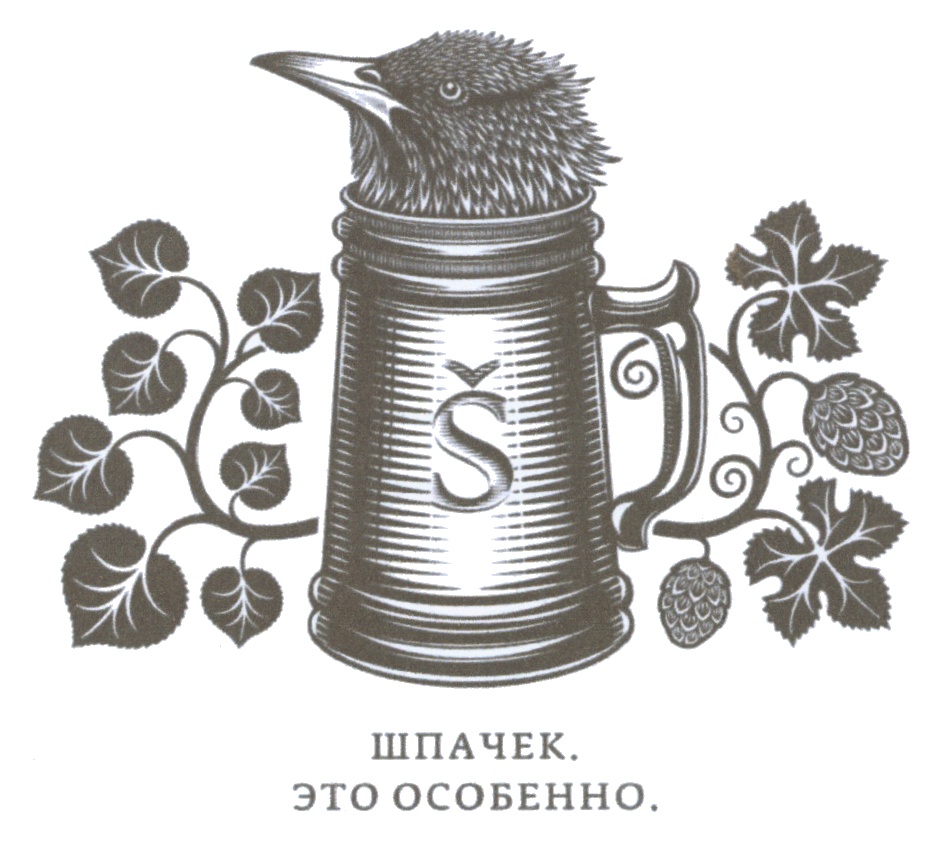 Š ШПАЧЕК. ЭТО ОСОБЕННО.